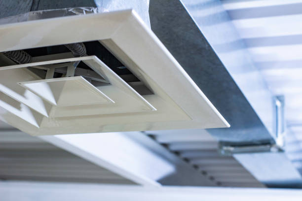 Best Air Duct Inspection  in Pine Hills, FL