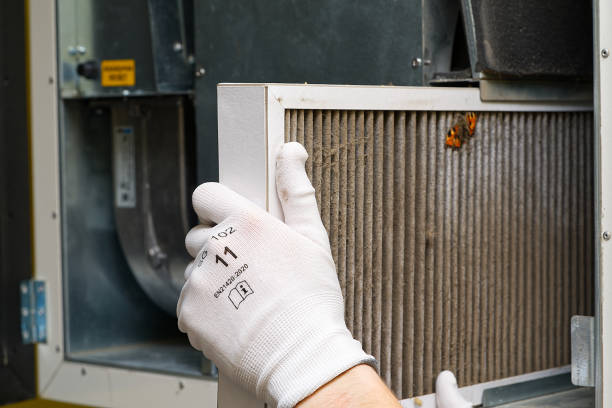 Best Home Air Vent Cleaning  in Pine Hills, FL