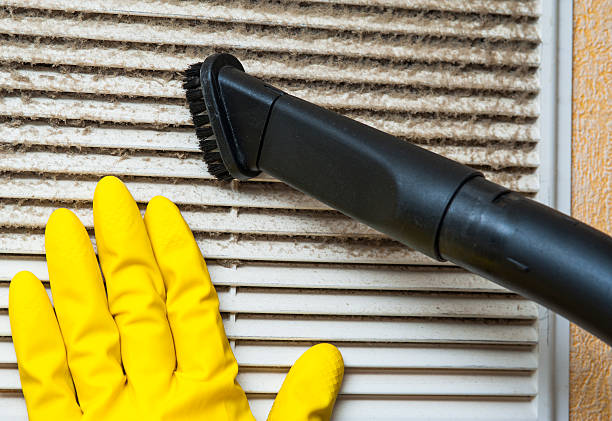 Best Local Air Duct Cleaning Services  in Pine Hills, FL